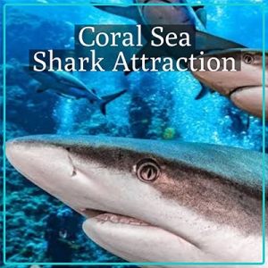 Coral Sea Sharks Attraction